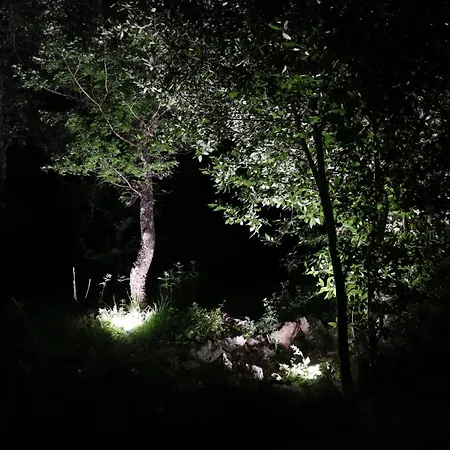 Paradiso Della Cannella Holiday home *